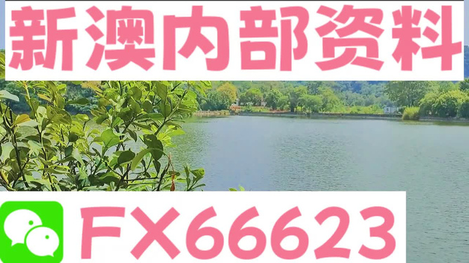 新澳精准资料免费提供最新版,实地验证分析_网红版19.120