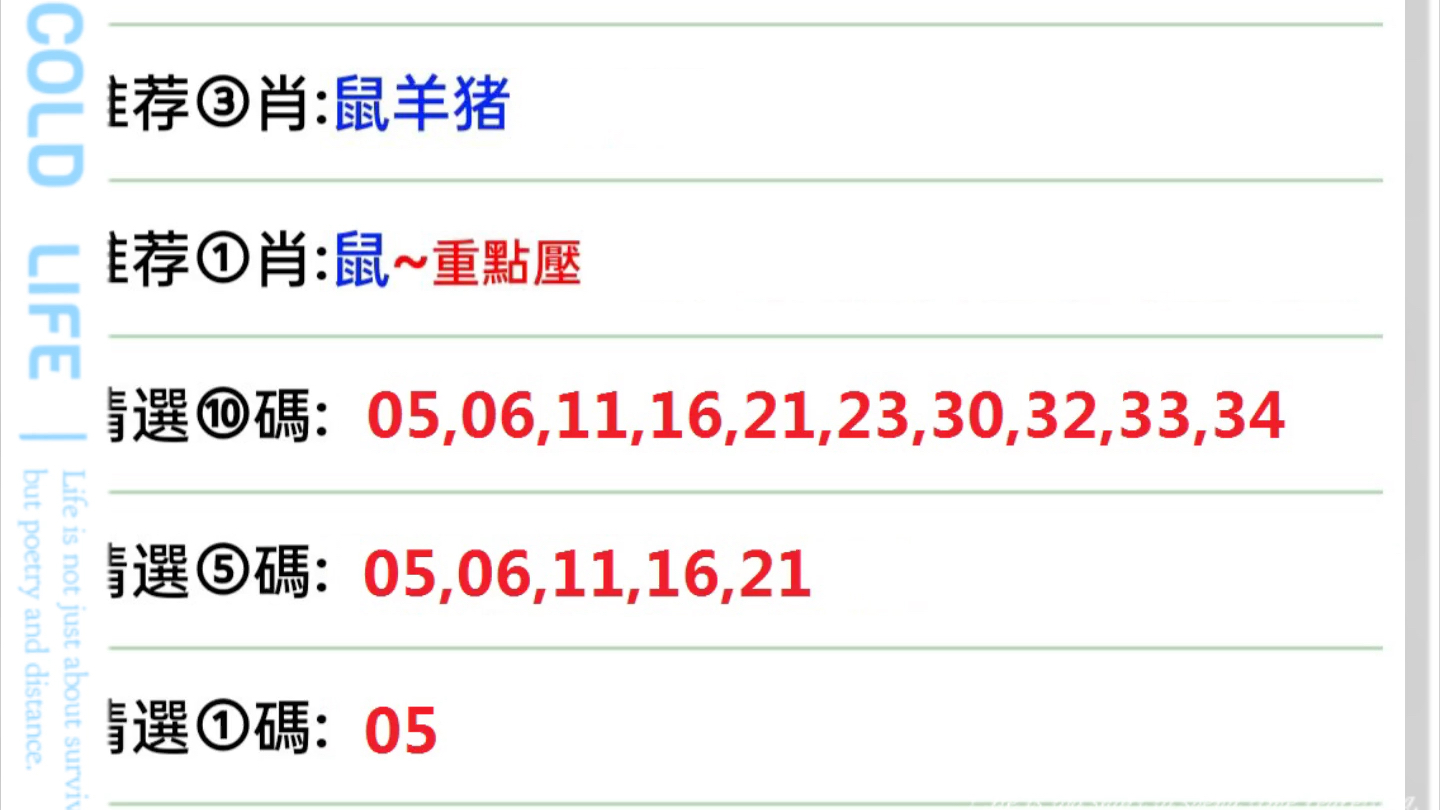 2024年12月20日 第70页