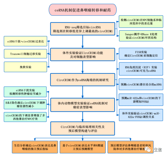 新奥长期免费资料大全,结构化推进评估_kit21.191