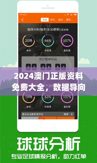 2024正版资料免费大全,专业分析解释定义_Elite34.797