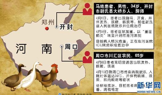 叶县H7N9最新动态，全面防控措施实施，保障民众健康安全