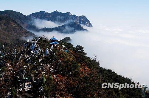 庐山最新动态揭秘，神秘面纱下的壮丽景色与新鲜资讯