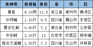 最新鲤鱼价格走势解析